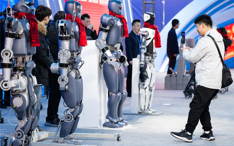 “楚才”系列人形机器人展示现场。