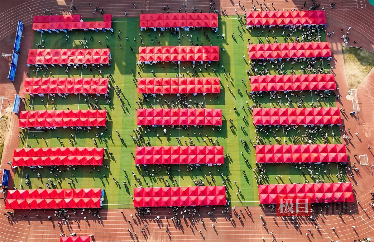 招聘现场。通讯员 李周阳 摄.jpg